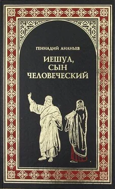 Геннадий Ананьев Иешуа, сын человеческий обложка книги