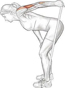CloseGrip PushUp Execution 1 Facedown slide both hands under your - фото 24