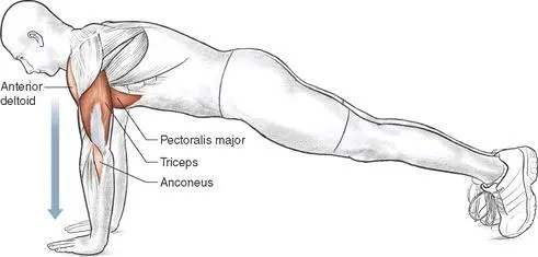 Execution 1 Facedown slide both hands under your chest so that your thumbs - фото 26