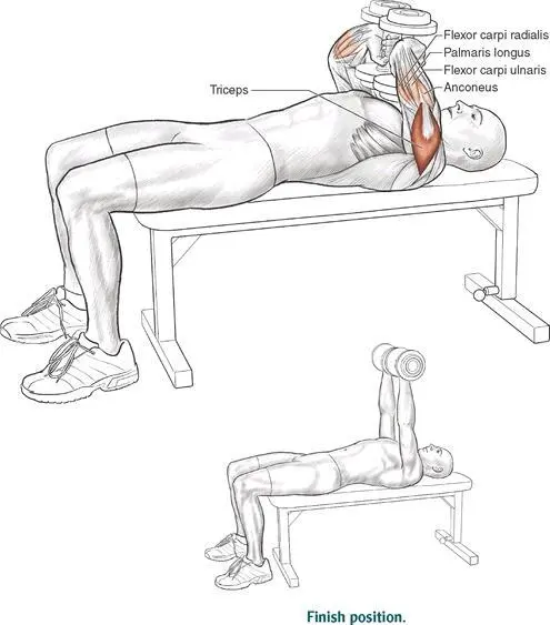 Execution 1 Lying flat on a bench gently rest two dumbbells on your chest so - фото 37