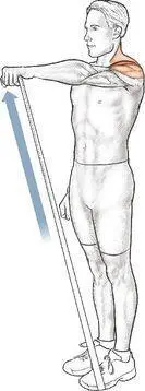 Lateral Dumbbell Deltoid Raise Execution 1 Stand and hold a dumbbell - фото 56