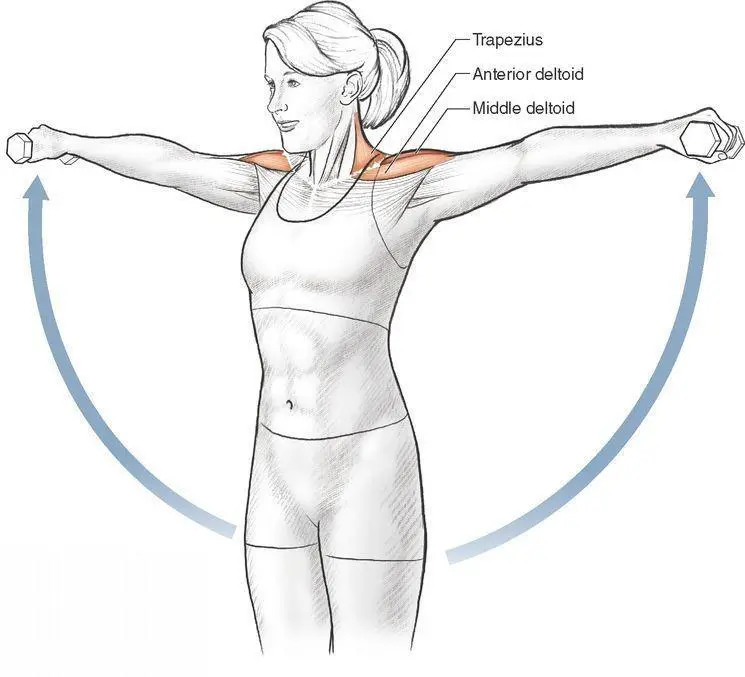 Execution 1 Stand and hold a dumbbell in each hand with your arms hanging at - фото 58