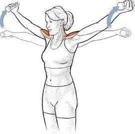 T Exercise Execution 1 With a dumbbell in each hand raise your hands - фото 61