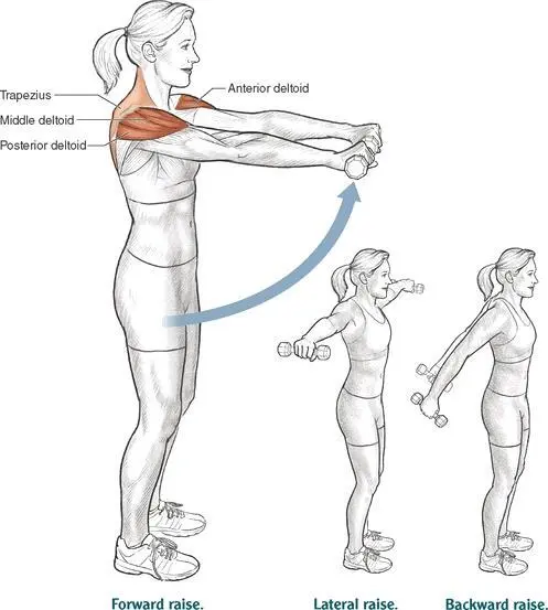 Execution 1 With a dumbbell in each hand raise your hands forward until the - фото 63