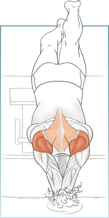 Dumbbell Shoulder Press Execution 1 Sitting up straight hold the - фото 64