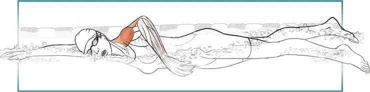 SAFETY TIP Because of the overhead nature of the exercise young swimmers who - фото 67