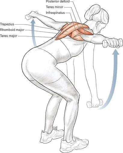 Execution 1 Standing with a flat back bend forward at your waist until your - фото 70