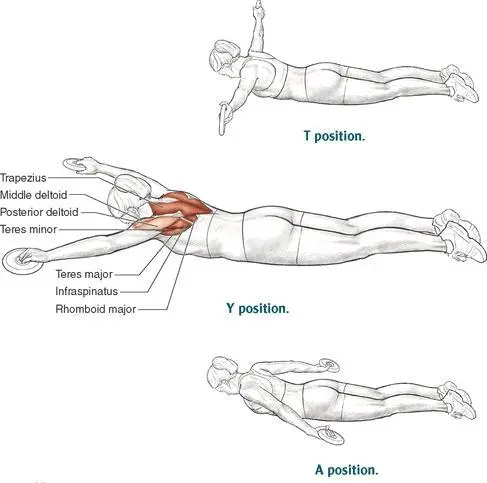 Execution 1 Lying facedown slightly arch your upper back and lift your - фото 74