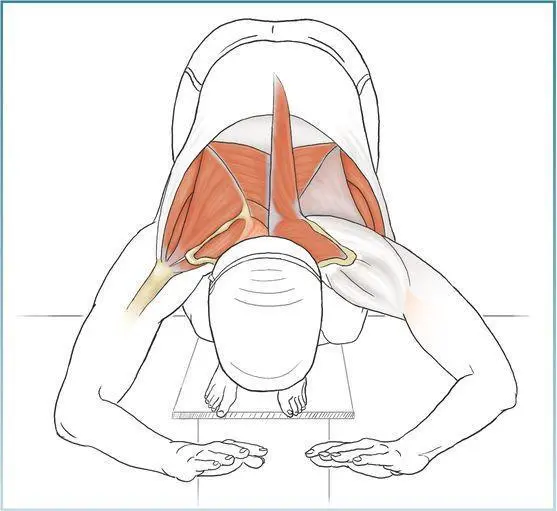 VARIATION Physioball T Y A Although adding a physioball makes the exercise - фото 75