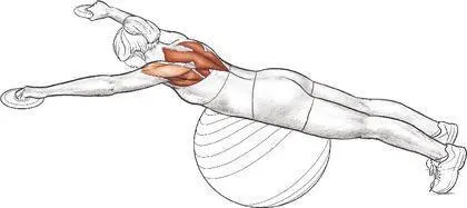 Scapular PushUp Execution 1 Facedown support your body weight on - фото 76