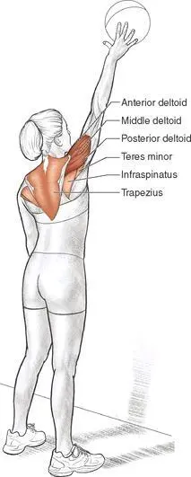 Execution 1 Position yourself so that you are standing 12 inches 30 cm from - фото 95