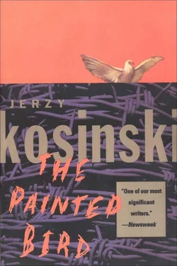 Jerzy Kosiński The Painted Bird обложка книги