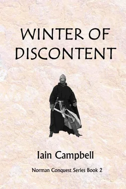 Iain Campbell Winter of Discontent обложка книги