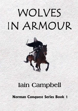 Iain Campbell Wolves in Armour обложка книги