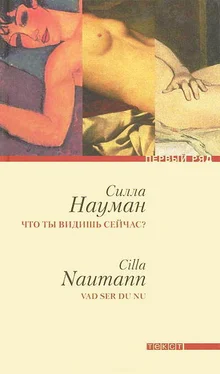 Силла Науман Что ты видишь сейчас? обложка книги