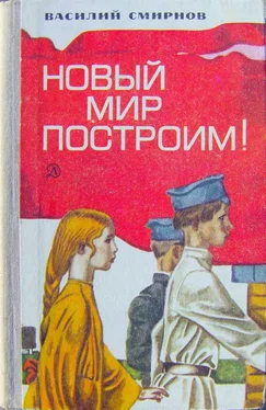 Василий Смирнов Новый мир построим! обложка книги