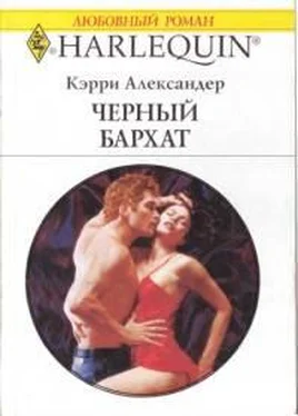 Кэрри Александер Черный бархат обложка книги