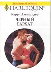 Кэрри Александер - Черный бархат