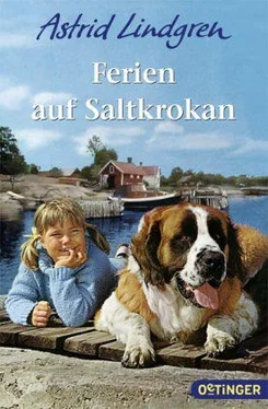 Astrid Lindgren Ferien auf Saltkrokan обложка книги