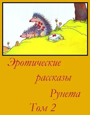 Неизвестный Автор Эротические рассказы Рунета - Том2 обложка книги