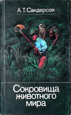 Айвен Сандерсон Сокровища животного мира обложка книги