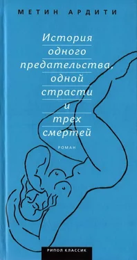 Метин Ардити История одного предательства, одной страсти и трех смертей обложка книги