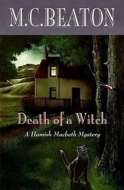 M.C. Beaton Death of a Witch обложка книги