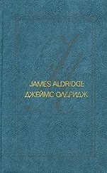 Джеймс Олдридж - Охотник