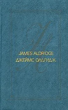 Джеймс Олдридж Не хочу, чтобы он умирал обложка книги
