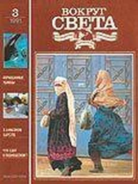 Вокруг Света Журнал «Вокруг Света» №03 за 1991 год обложка книги