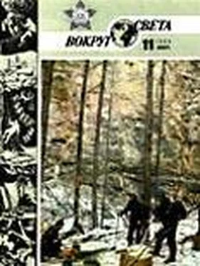 Вокруг Света Журнал «Вокруг Света» №11 за 1986 год