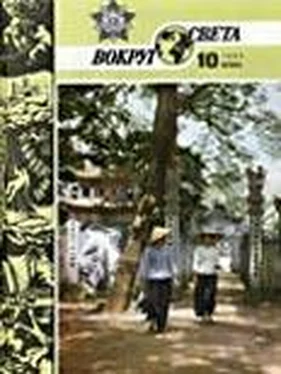 Вокруг Света Журнал «Вокруг Света» №10 за 1986 год обложка книги