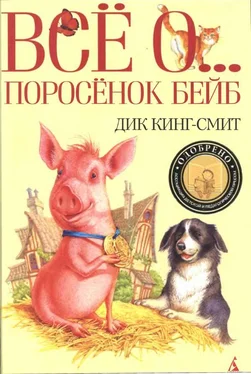 Дик Кинг-Смит Шпунтик собачья лапа обложка книги