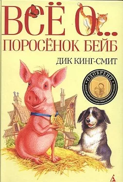 Дик Кинг-Смит Поросенок Бейб обложка книги