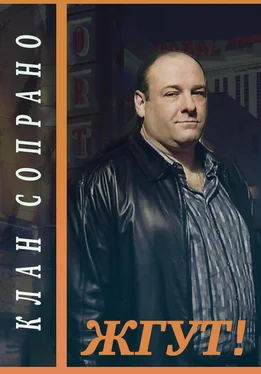 Эдуард Мхом Клан Сопрано (The Sopranos). Жгут! обложка книги