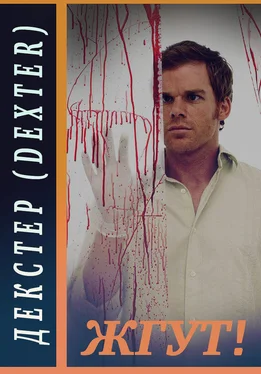 Роман Масленников Декстер (Dexter). Жгут! обложка книги