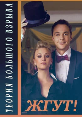 Алена Ашурова Теория Большого взрыва (The Big Bang Theory). 1-2 сезоны. Жгут! обложка книги