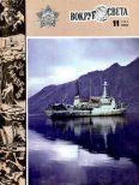 Вокруг Света Журнал «Вокруг Света» №11 за 1982 год обложка книги