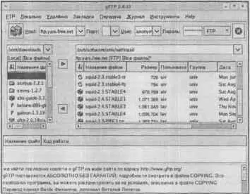 Рис 619 Окно программы gFTP На рисунке видно что я подключился к серверу - фото 71