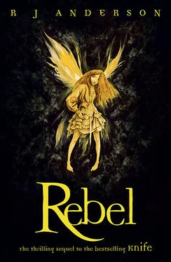 R. Anderson Rebel обложка книги