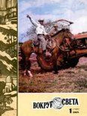 Вокруг Света Журнал «Вокруг Света» №01 за 1981 год обложка книги