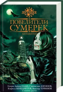 Василий Владимирский Повелители сумерек обложка книги