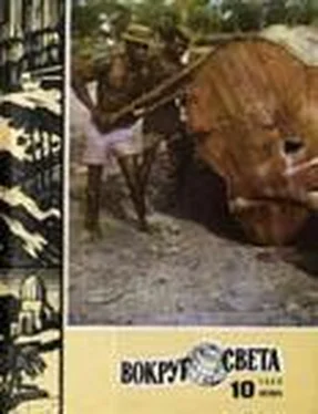 Вокруг Света Журнал «Вокруг Света» №10 за 1980 год обложка книги