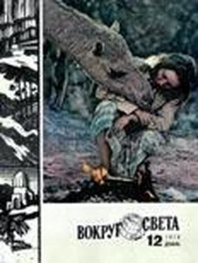 Вокруг Света Журнал «Вокруг Света» №12 за 1978 год