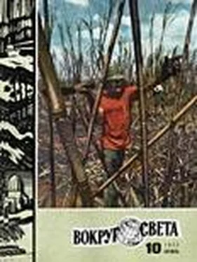 Вокруг Света Журнал «Вокруг Света» №10 за 1977 год