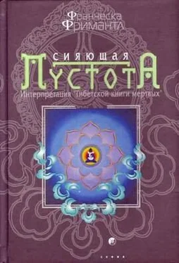 Франческа Фримантл Сияющая пустота. Интерпретация Тибетской книги мертвых обложка книги