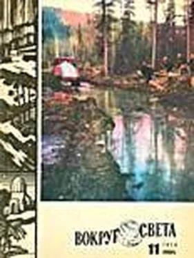 Вокруг Света Журнал «Вокруг Света» №11 за 1974 год обложка книги