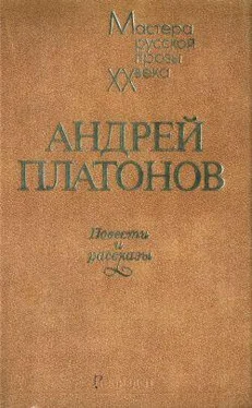 Андрей Платонов Корова обложка книги