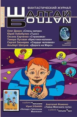 Олег Демин Слёзы вепра обложка книги