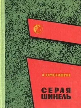 Александр Сметанин Серая шинель обложка книги